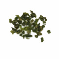 Nova safra de vegetais desidratados 5X5 MM Especificação de feijão verde para cozinhar